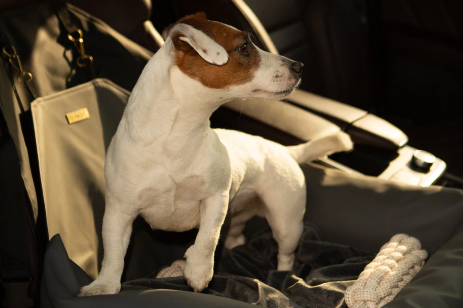 Finnish Spitz Dog Car Seat for Volkswagen Golf
