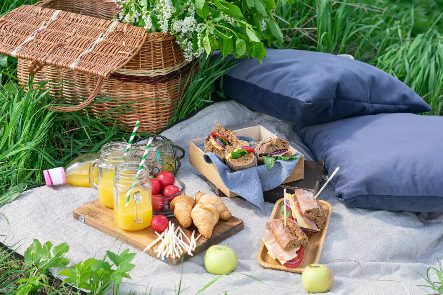 garden picnic blanket