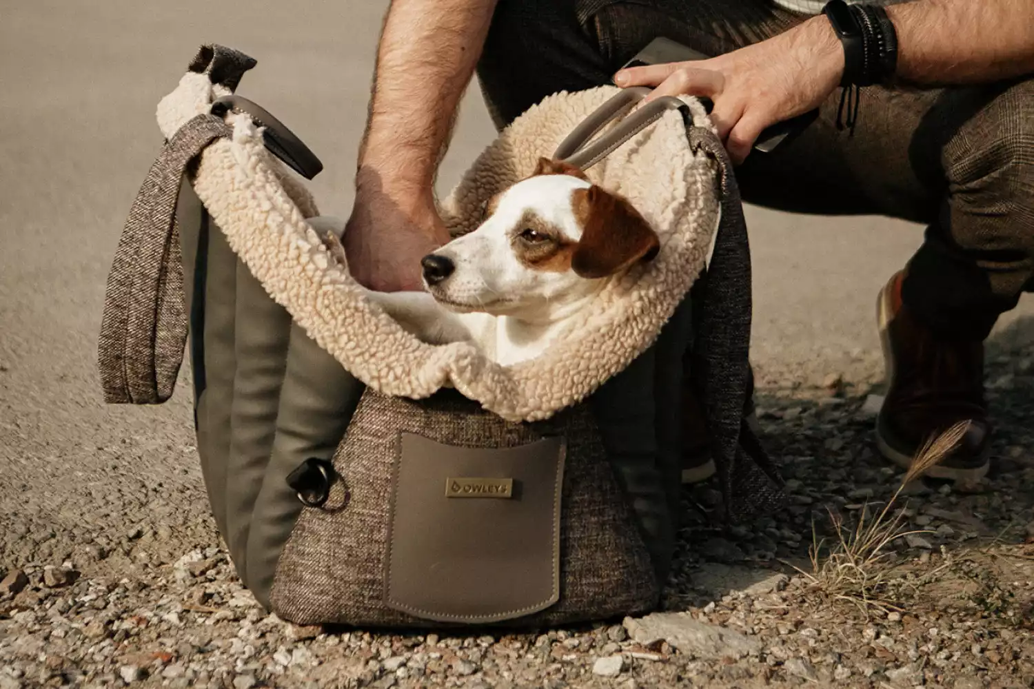 Subaru Crosstrek Dog Carrier Car Seat for Border Terrier