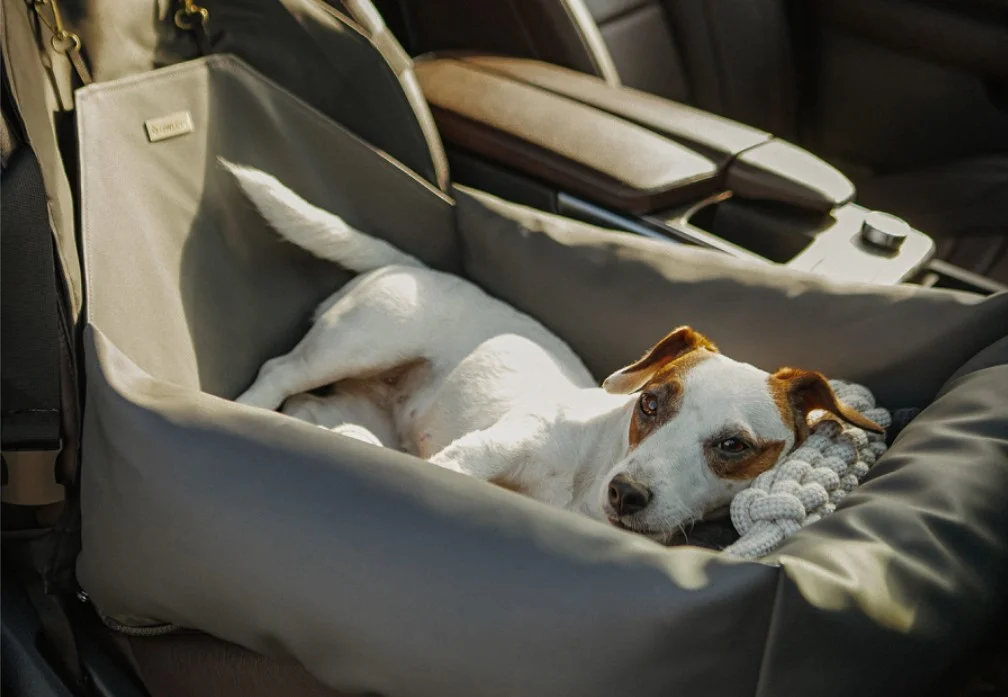 Russell Terriers Dog Car Seat for Subaru Crosstrek