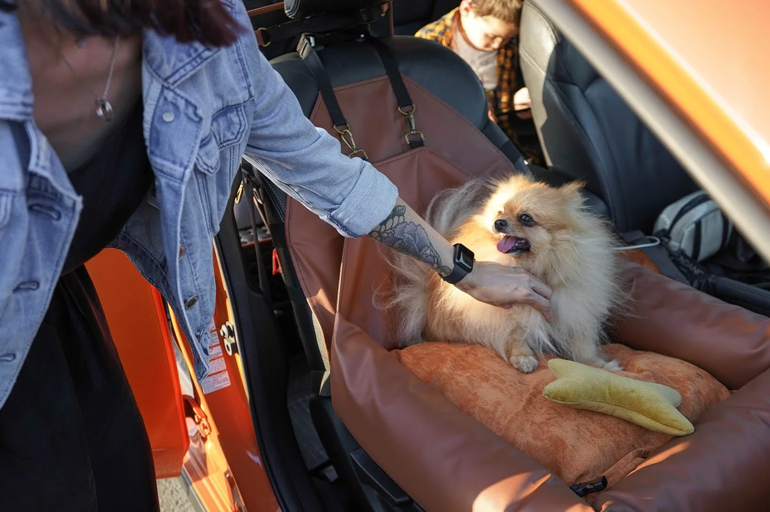 Honda HR-V Dog Car Seat for Duck Tolling Retrievers